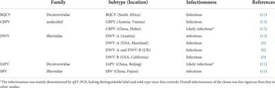 Procedures and potential pitfalls for constructing a bee-infecting RNA virus clone